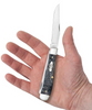CASE TRAPPER CRANDALL GRAY BONE - ACC KNIVES  - 58410
