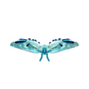 SWAROVSKI IDYLLIA BUTTERFLY, TURQUOISE - ACCESSORIES DECORATIVE  - 5721539