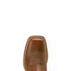 ARIAT CATTLE CAITE STRETCH BROWN - BOOT LADIES  - 10074329