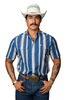 FERREL THE HUDSON BLUE STRIPE - MENS SHIRT  - FPS1026028