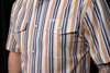 FERREL THE JACKSON BLUE/YELLOW STRIPE - MENS SHIRT  - FPS1002589