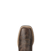 ARIAT QUICKDRAW TACK CHOCOLATE - BOOT LADIES  - 10021616