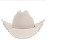 STETSON USA 250TH COLLECTION 6X BELLY - HAT FELTS  - SFS250-754261