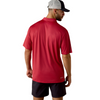 ARIAT 360 AIRFLOW SCARLET GIO PRINT - MENS POLO  - 10073507