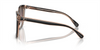 COACH CL918 BLACK / TRANSPARENT BLUS - SUNGLASS COACH  - 8381U5781E2