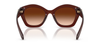 COACH CAD31 MILKY HAZELNUT W/ BROWN - SUNGLASS COACH  - 8421U584174