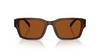 COACH TRANSPARENT BROWN SOLID CBY96 - SUNGLASS COACH  - 8441U591173