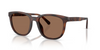 COACH MATTE DARK TORTOISE - SUNGLASS COACH  - 8442U512073