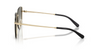COACH SHINY LIGHT GOLD BLACK - SUNGLASS COACH  - 7184D94643C