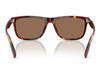 COACH CDP55 WALNUT TORTOISE - SUNGLASS COACH  - 8454U593813