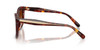 COACH WALNUT TORT - SUNGLASS COACH  - 8453U593874