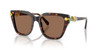 SWAROVSKI HAVANA W/ DARK BROWN - SUNGLASS SWAROVSKI  - 6041100273