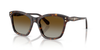 SWAROVSKI SQUARE HAVANA GRADIENT BROWN - SUNGLASS SWAROVSKI  - 6063F100274