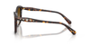 SWAROVSKI SQUARE HAVANA GRADIENT BROWN - SUNGLASS SWAROVSKI  - 6063F100274