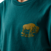 ARIAT BISON WANDER TEAL - KIDS BOYS TEE - 10073453