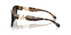 MICHAEL KORS SANTA BARBARA BLACK/BROWN - SUNGLASS MICHAEL KORS  - 2292U300513