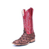 MACI BEAN BOOTS BIG BASS RED SINSATION TOP - BOOT LADIES  - M2007