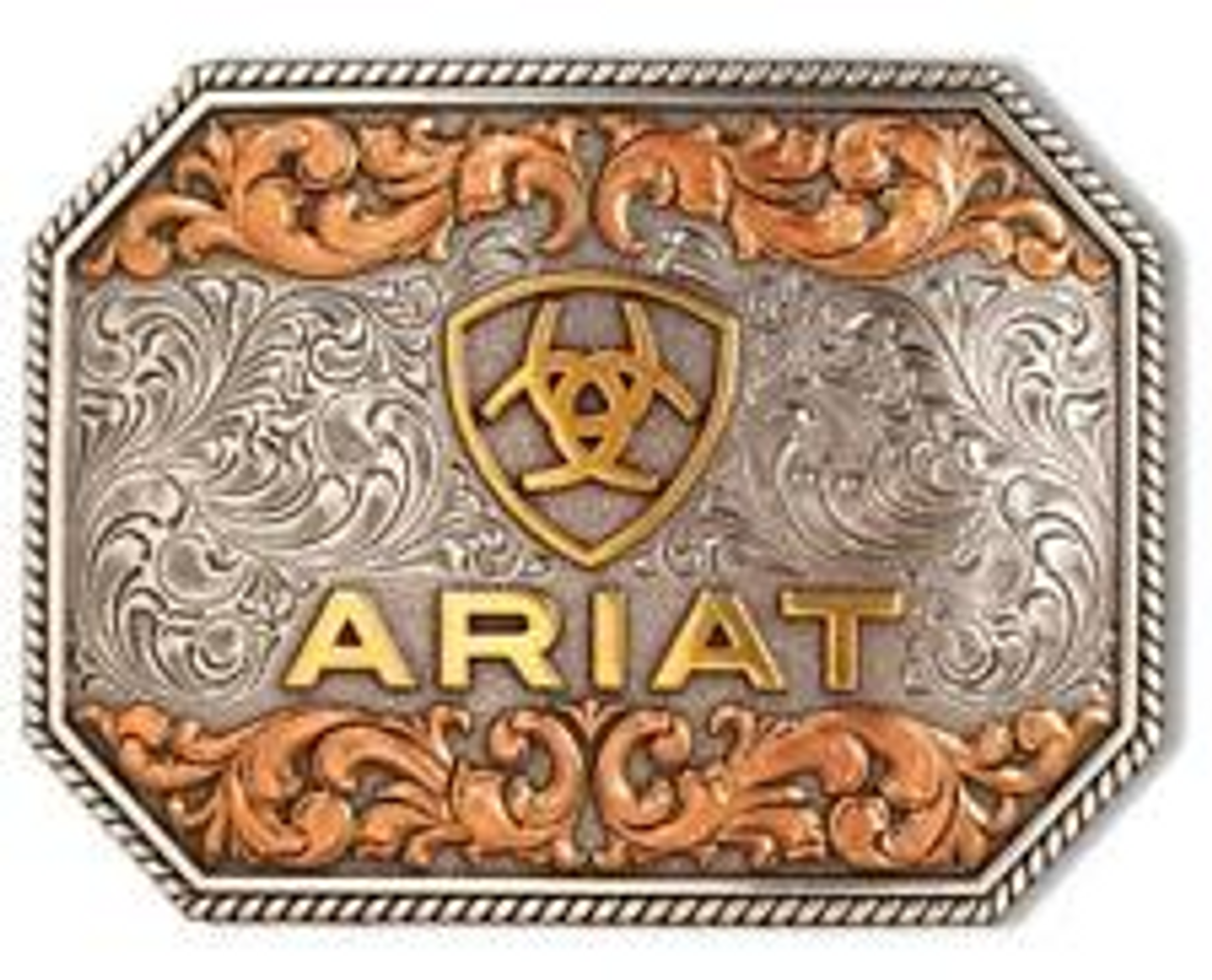 Ariat Logo Oval Buckle , Gold/Silver