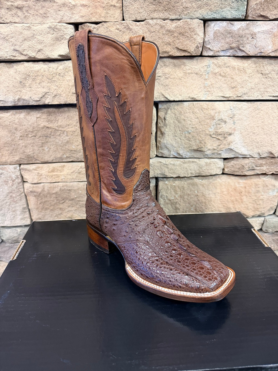SNAPPING TURTLE BROWN BR2050-96 BLACK JACK