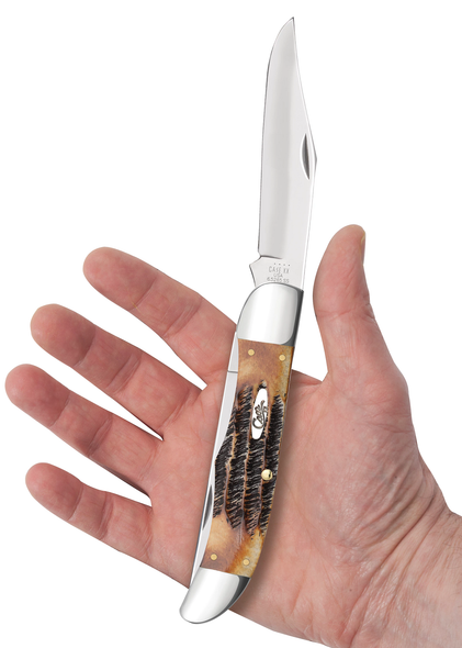 CASE BONE STAG BROWN - ACC KNIVES  - 03574