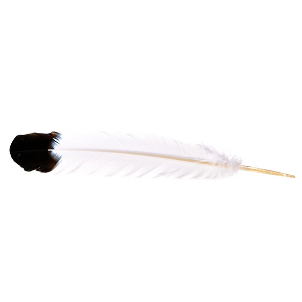 CACTUS RANCH FEATHER IMITATION EAGLE BLACK - HATS ADD-ONS  - F-12