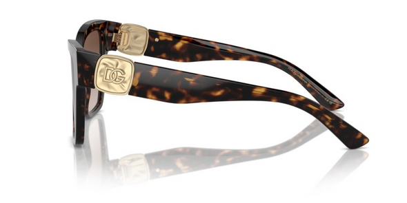 DOLCE & GABBANA LARGE HAVANA BROWN ACETATE - SUNGLASS DOLCE & GABBANA  - 4470502/13