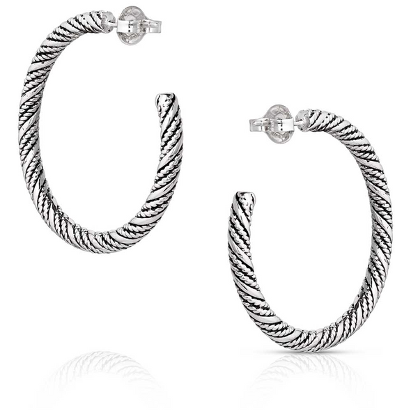 MONTANA SILVERSMITHS SUBTLE STYLE HOOP EARRINGS - ACCESSORIES JEWELRY EARRINGS - ER6033