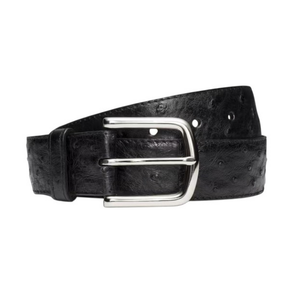 TECOVAS OSTRICH BELT II MIDNIGHT - ACCESSORIES BELT MEN - M30342MID
