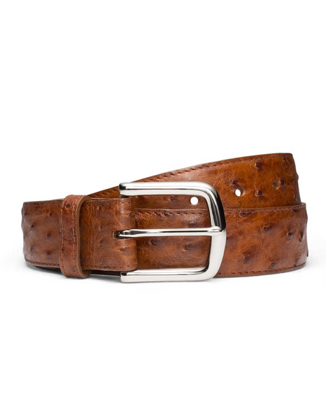 TECOVAS OSTRICH BELT II PECAN - ACCESSORIES BELT MEN - M30342PEC