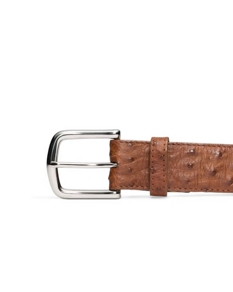 TECOVAS OSTRICH BELT II PECAN - ACCESSORIES BELT MEN - M30342PEC