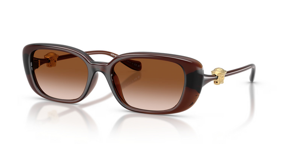 VERSACE TRANSPARENT BROWN GRADIENT - SUNGLASS VERSACE  - 4504D533213