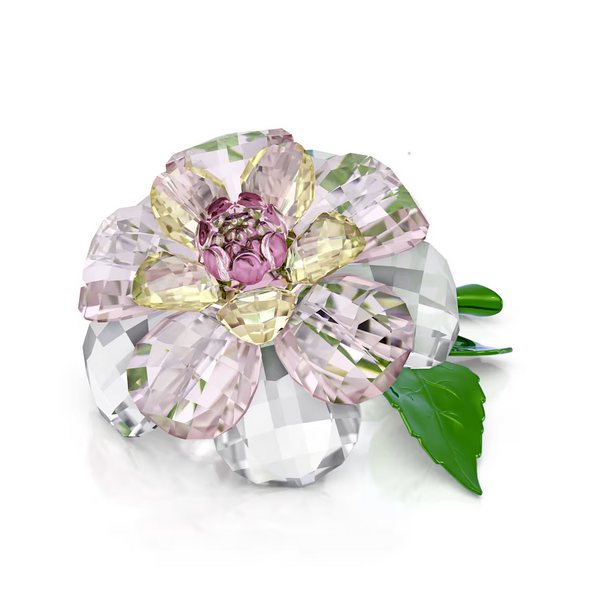 SWAROVSKI FLORERE CAMELLIA FLOWER - ACCESSORIES DECORATIVE  - 5721538