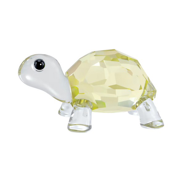 SWAROVSKI IDYLLIA BABY TORTOISE - ACCESSORIES DECORATIVE  - 5721550