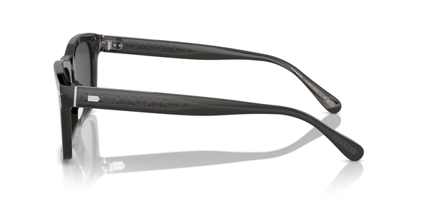 COACH CR628 TRANSPARENT DARK GREY W/ - SUNGLASS COACH  - 8397U581787