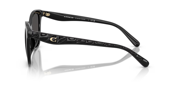 COACH CAD25 BLACK W/ GREY SOLID - SUNGLASS COACH  - 8419U500287