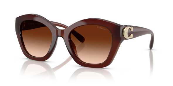 COACH CAD31 MILKY HAZELNUT W/ BROWN - SUNGLASS COACH  - 8421U584174