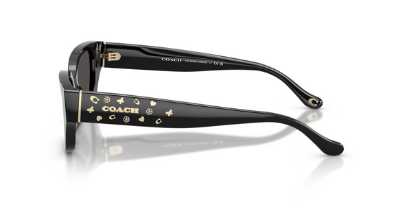 COACH CBZ52 BLACK W/ GREY SOLID - SUNGLASS COACH  - 8439U500287