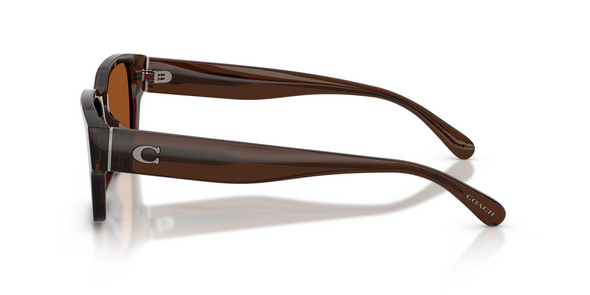COACH TRANSPARENT BROWN SOLID CBY96 - SUNGLASS COACH  - 8441U591173
