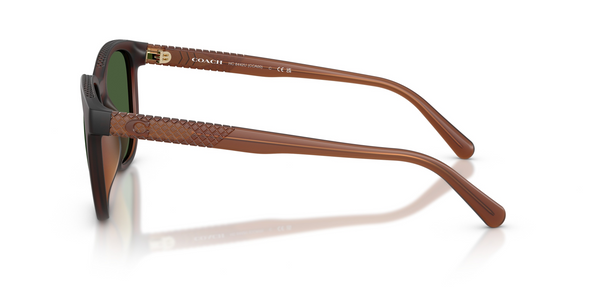 COACH MATTE TRANSPARENT BROWN - SUNGLASS COACH  - 8442U591171