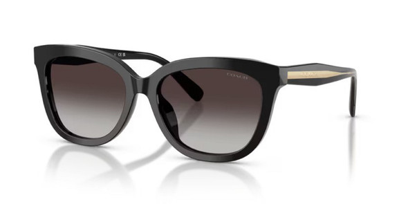 COACH CDP53 BLACK GREY GRADIENT - SUNGLASS COACH  - 8453U50028G