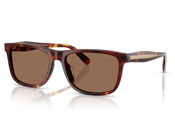 COACH CDP55 WALNUT TORTOISE - SUNGLASS COACH  - 8454U593813