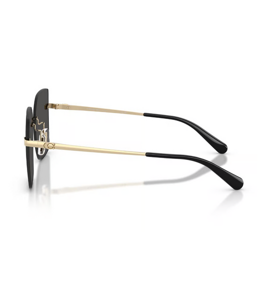 COACH SHINY LIGHT GOLD - SUNGLASS COACH  - 7193D900587