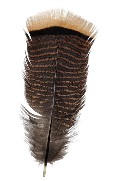 CACTUS RANCH FEATHER SMALL TAIL BRONZE - HATS ADD-ONS  - F-15S