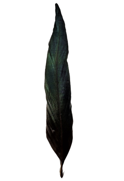 CACTUS RANCH FEATHER HAT TRIM BRONZE RUSTED - HATS ADD-ONS  - F-57