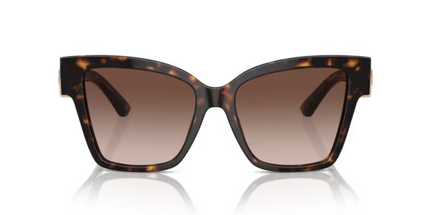 DOLCE & GABBANA LARGE HAVANA BROWN ACETATE - SUNGLASS DOLCE & GABBANA  - 4470502/13