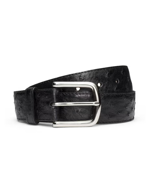 TECOVAS OSTRICH BELT II MIDNIGHT - ACCESSORIES BELT MEN - M30342MID