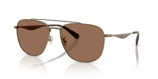COACH CW404 ANTIQUE GOLD W/ BROWN SO - SUNGLASS COACH  - 7172933373