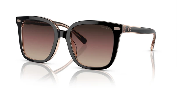 COACH CL918 BLACK / TRANSPARENT BLUS - SUNGLASS COACH  - 8381U5781E2