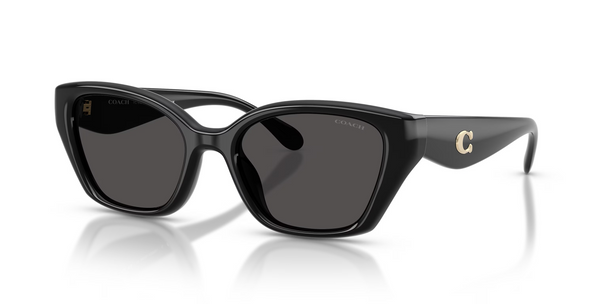 COACH CBY91 BLACK W/ GREY SOLID - SUNGLASS COACH  - 8434U500287