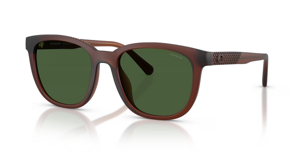 COACH MATTE TRANSPARENT BROWN - SUNGLASS COACH  - 8442U591171